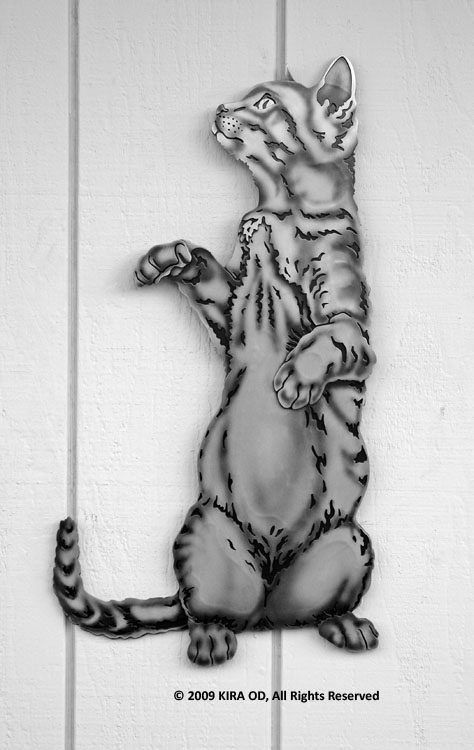 WEBCAT JPEGs X-LARGE/C-0_WebCat_XL_PJ_PATINA_3975.jpg